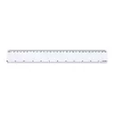 30cm ABS Ruler