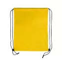 Pronto Polyester Drawstring Backpack