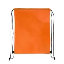 Pronto Polyester Drawstring Backpack