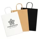 Express Large 160gsm Paper Bag