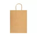 Express Large 160gsm Paper Bag