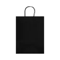 Express Large 160gsm Paper Bag