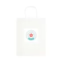 Express Large 160gsm Paper Bag