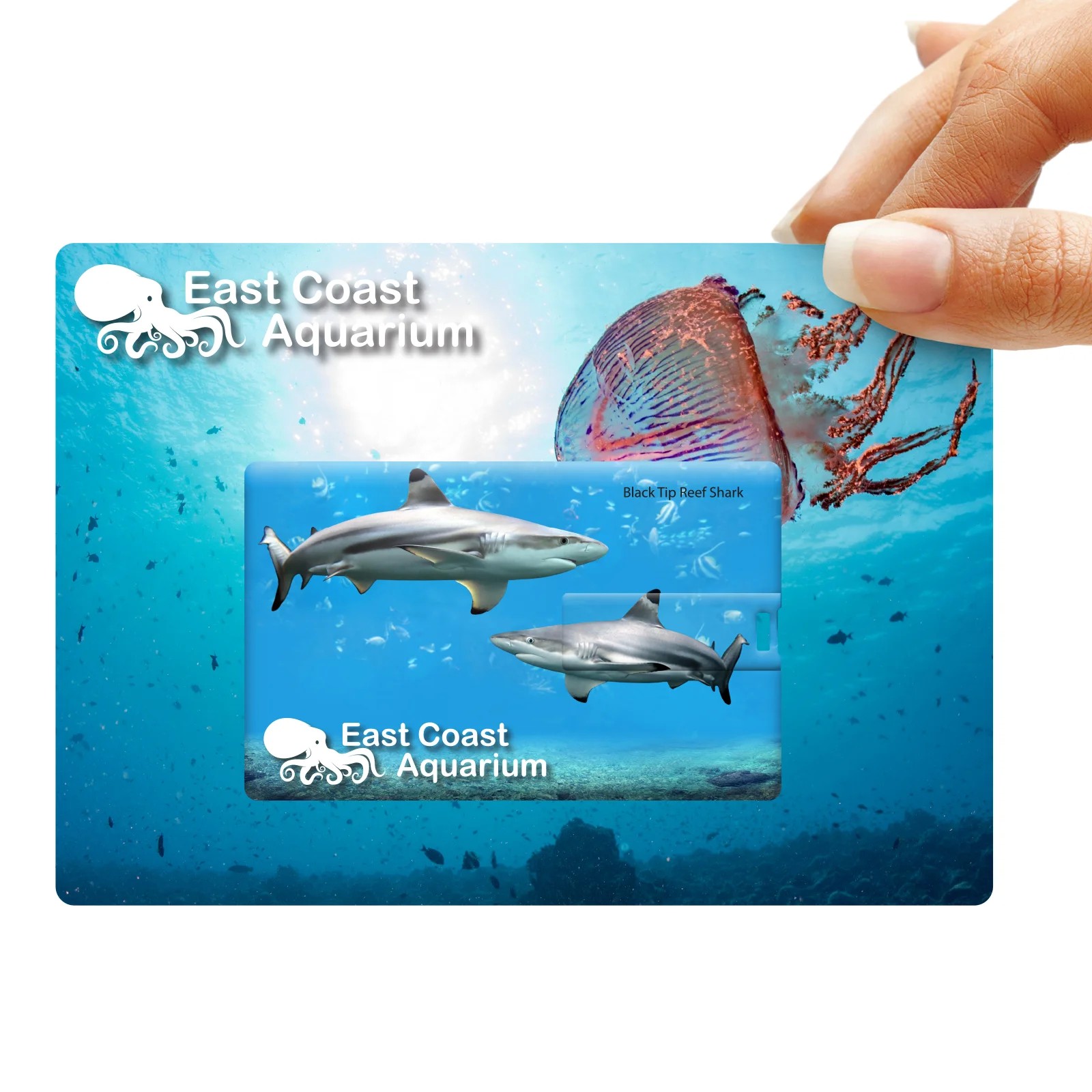 4GB Credit Card USB Flash Drive