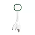Family Light Up 3-in-1 Charging Cable