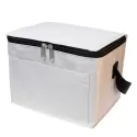 Alpine 4.5L PVC Cooler Bag