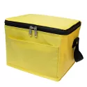 Alpine 4.5L PVC Cooler Bag