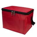 Alpine 4.5L PVC Cooler Bag