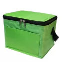 Alpine 4.5L PVC Cooler Bag