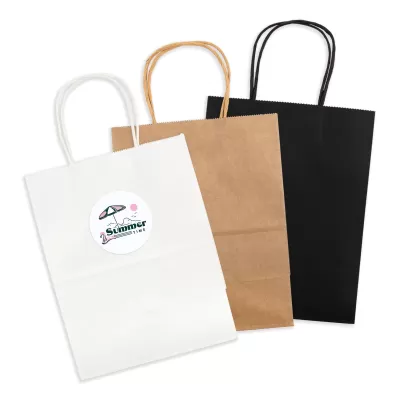 Express Medium 160gsm Paper Bag