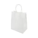 Express Medium 160gsm Paper Bag