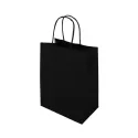 Express Medium 160gsm Paper Bag
