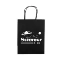 Express Medium 160gsm Paper Bag