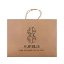 Express Extra Large 180gsm Paper Bag