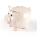 Worlds Smallest Pig Eco Coin Polypropylene Bank