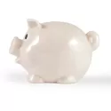 Worlds Smallest Pig Eco Coin Polypropylene Bank