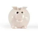Worlds Smallest Pig Eco Coin Polypropylene Bank