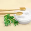 branded Bamboo Toothbrush, from our range of promotional Travel Accessories