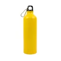 Gelato 750ml Aluminium Bottle