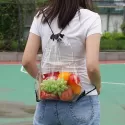 Clear PVC Backpack