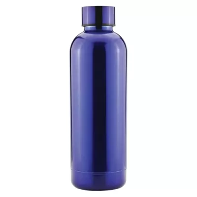 Eva 550ml Stainless Steel Vacuum Drink Bottle