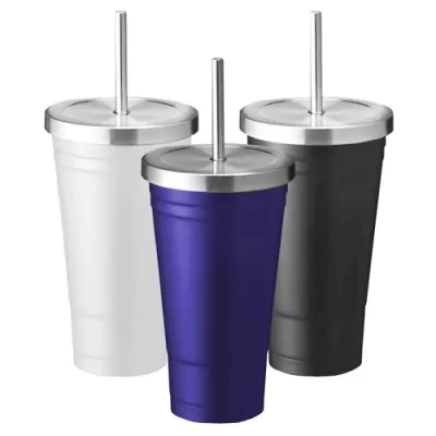Aqua 500ml Stainless Steel Tumbler