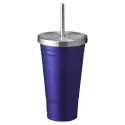 Aqua 500ml Stainless Steel Tumbler