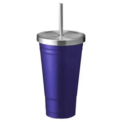 Aqua 500ml Stainless Steel Tumbler