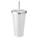 Aqua 500ml Stainless Steel Tumbler
