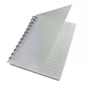 Launa B6 PP Plastic Notebook