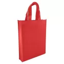 Non-Woven Trade Show Bag