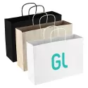 Paper Carry Bag