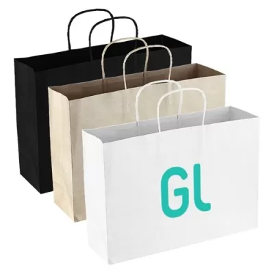 Paper Carry Bag