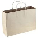 Paper Carry Bag