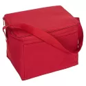 4.5L Nylon Cooler Bag