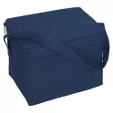 4.5L Nylon Cooler Bag