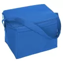 4.5L Nylon Cooler Bag