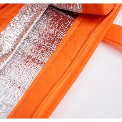 10L Non-Woven Cooler Bag with Top Zip Closure