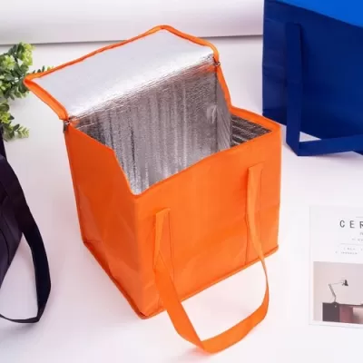 20L Non-Woven Cooler Bag with Zipped Lid