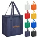 20L Non-Woven Cooler Bag with Zipped Lid
