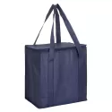 20L Non-Woven Cooler Bag with Zipped Lid