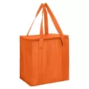 20L Non-Woven Cooler Bag with Zipped Lid