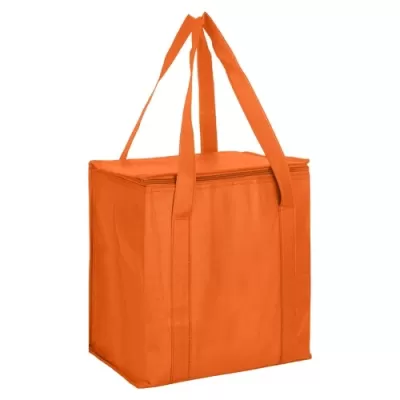 20L Non-Woven Cooler Bag with Zipped Lid