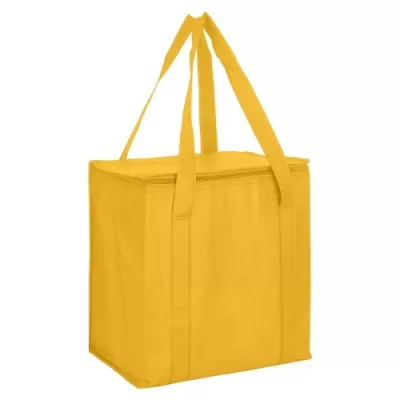 20L Non-Woven Cooler Bag with Zipped Lid