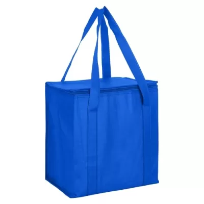 20L Non-Woven Cooler Bag with Zipped Lid