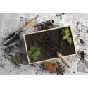 branded Dig It Garden Box, from our range of promotional Homeware Products