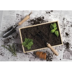 branded Dig It Garden Box, from our range of promotional Homeware Products