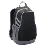 Backpacks  - Velocity Laptop BackPack