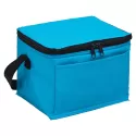 branded Arctic Cooler, from our range of promotional Cooler Bags