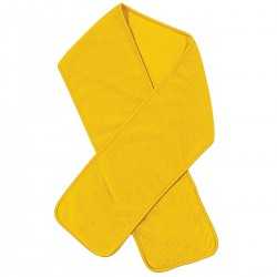 branded Polar Fleece Scarf, from our range of promotional Scarves